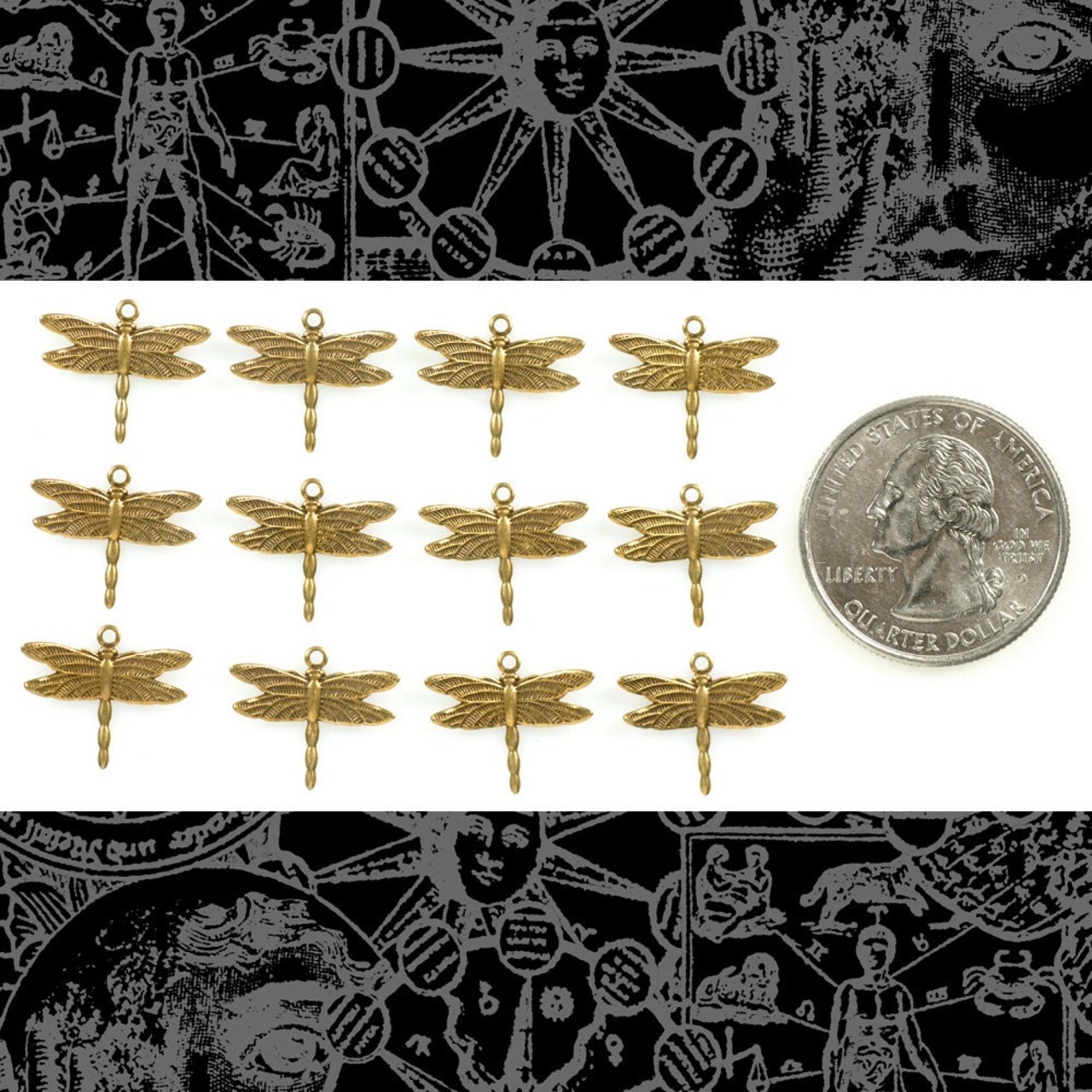 Antiqued Brass Dragonfly Charms with Up Tilted Wings - Set of 12 - AB-C09